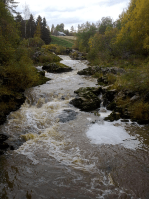 Vaskio_Kuttilan_koski