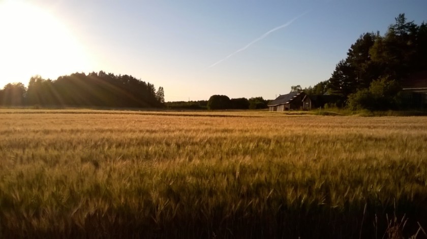 WP_20150818_19_56_34_Pro