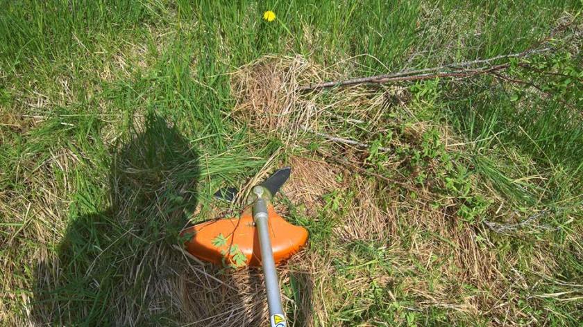 Vaskio_PIPO_luontopolku_02